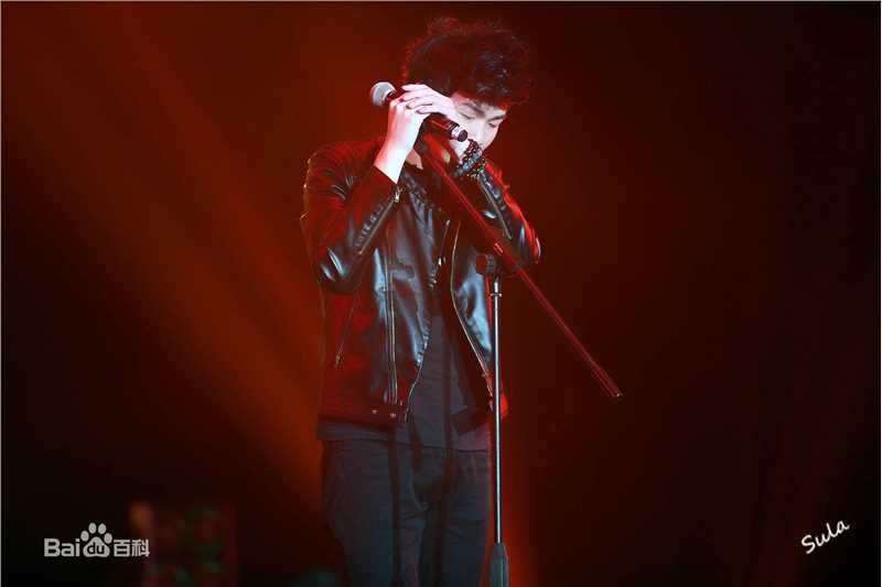 白举纲(Pax Congo)巡演照素颜照壁纸