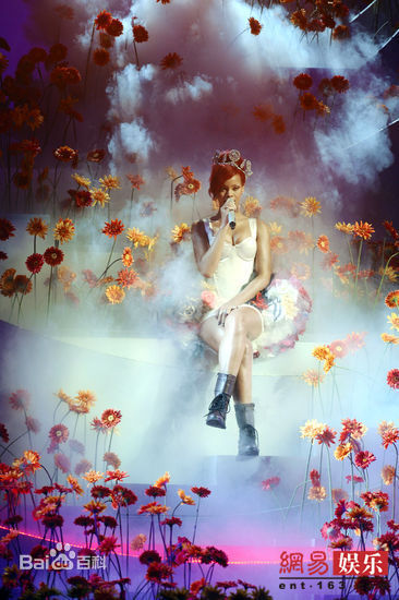 罗比恩·蕾哈娜·芬缇(Robyn Rihanna Fenty)蕾哈娜精彩图册