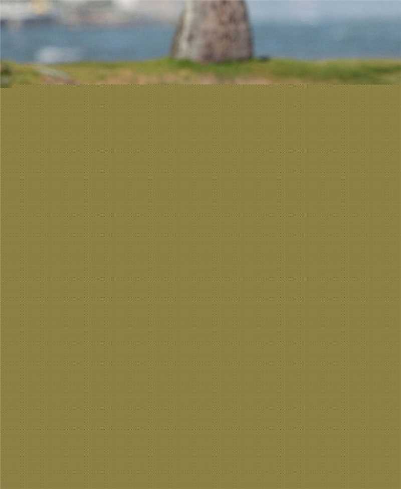 高清罗比恩·蕾哈娜·芬缇(Robyn Rihanna Fenty)蕾哈娜精彩图册