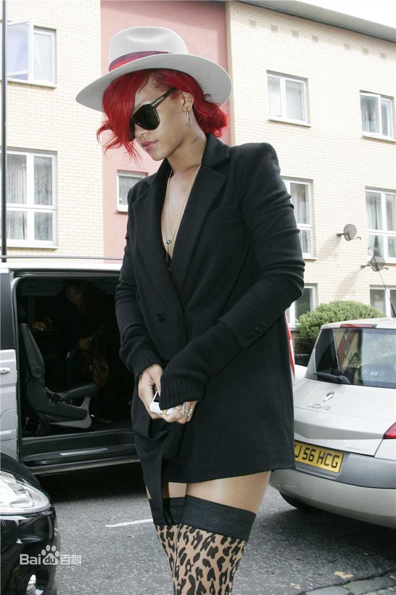 最全罗比恩·蕾哈娜·芬缇(Robyn Rihanna Fenty)精彩图册1