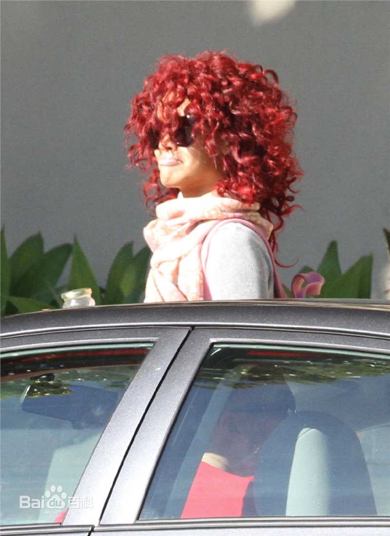 高清罗比恩·蕾哈娜·芬缇(Robyn Rihanna Fenty)精彩图册1