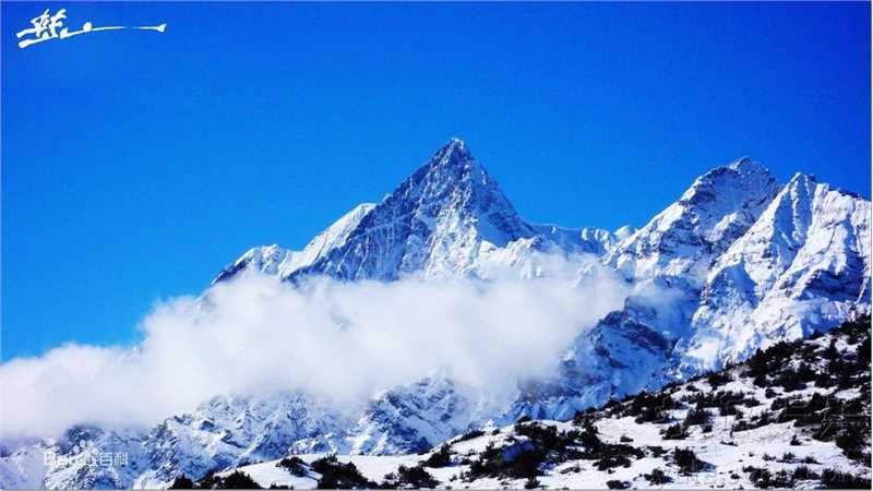 最全罗比恩·蕾哈娜·芬缇(Robyn Rihanna Fenty)蕾哈娜精彩图册