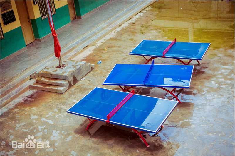 卢杉(Amber) 公益壁纸壁纸