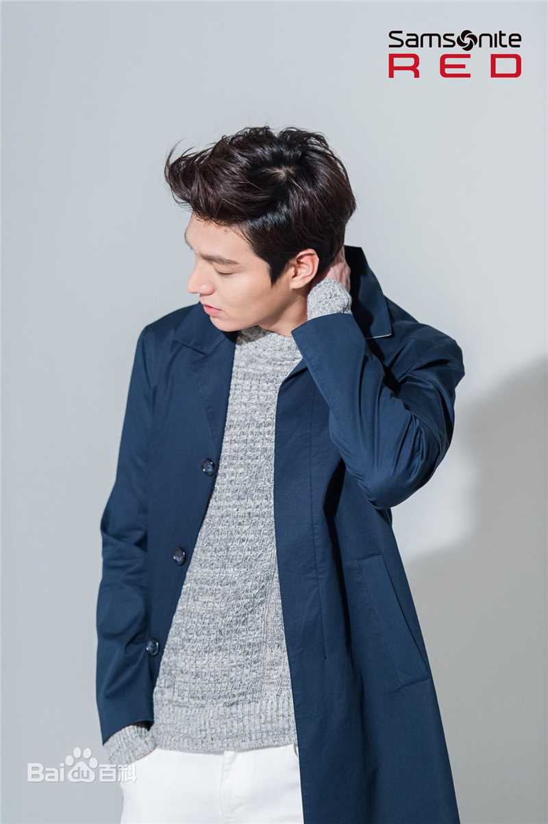 李敏镐（hào）(Lee MinHo、イ ミンホ)李敏镐壁纸壁纸