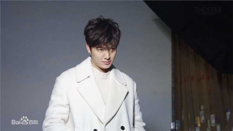李敏镐（hào）(Lee MinHo、イ ミンホ)李敏镐壁纸壁纸