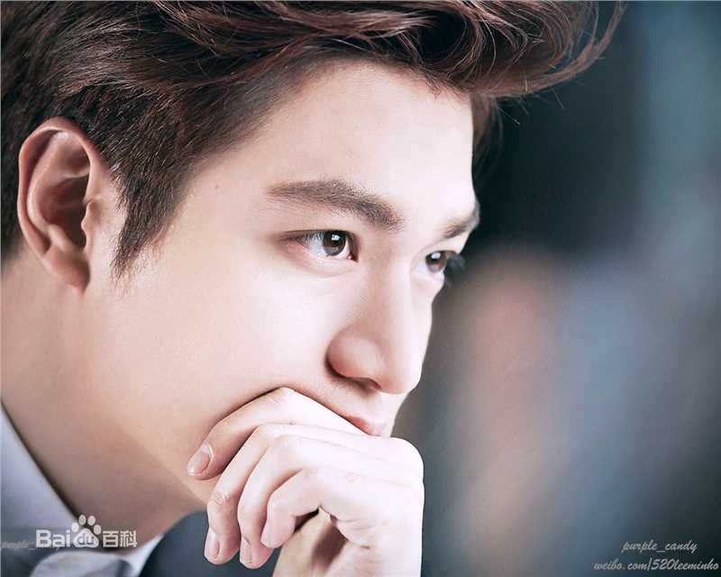 李敏镐（hào）(Lee MinHo、イ ミンホ)李敏镐壁纸壁纸