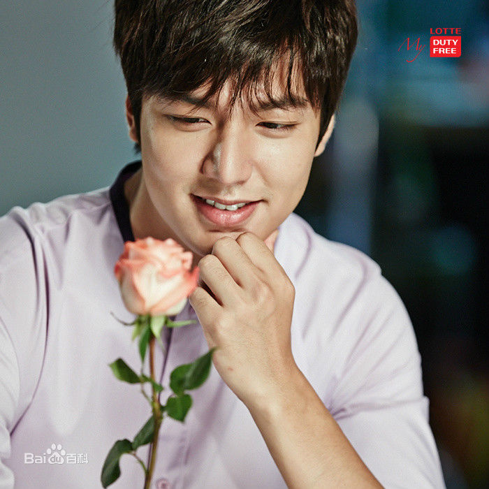 李敏镐（hào）(Lee MinHo、イ ミンホ)李敏镐壁纸壁纸