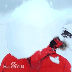 李敏镐（hào）(Lee MinHo、イ ミンホ)李敏镐壁纸壁纸