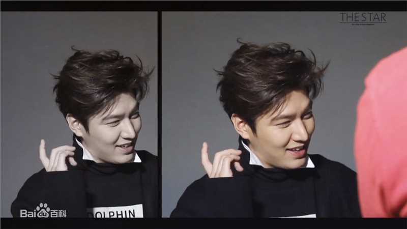 李敏镐（hào）(Lee MinHo、イ ミンホ)李敏镐壁纸壁纸