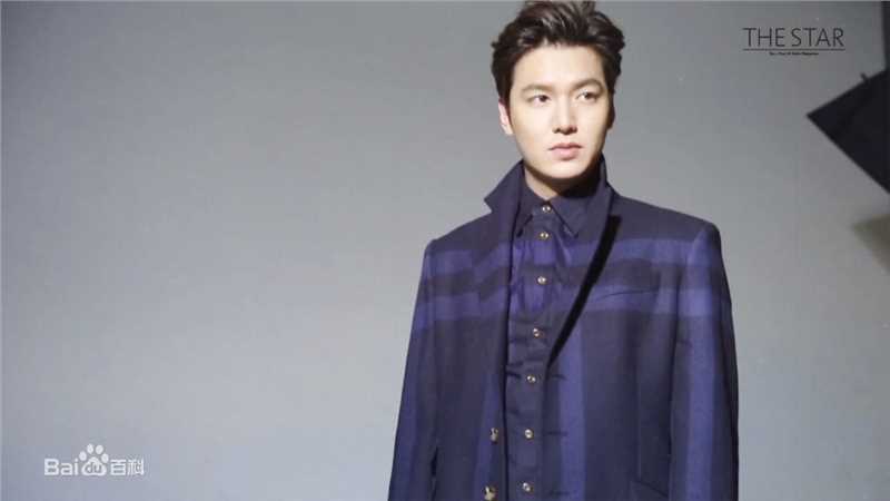 李敏镐（hào）(Lee MinHo、イ ミンホ)李敏镐壁纸壁纸