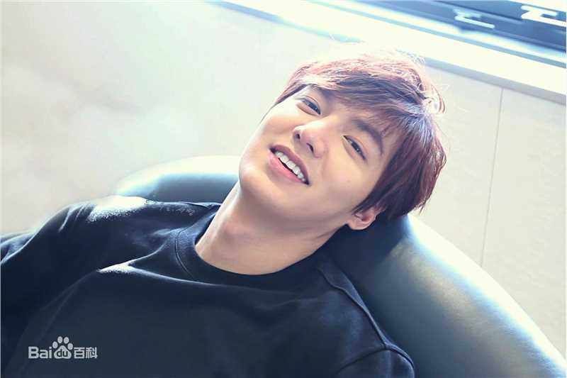 李敏镐（hào）(Lee MinHo、イ ミンホ)李敏镐壁纸壁纸