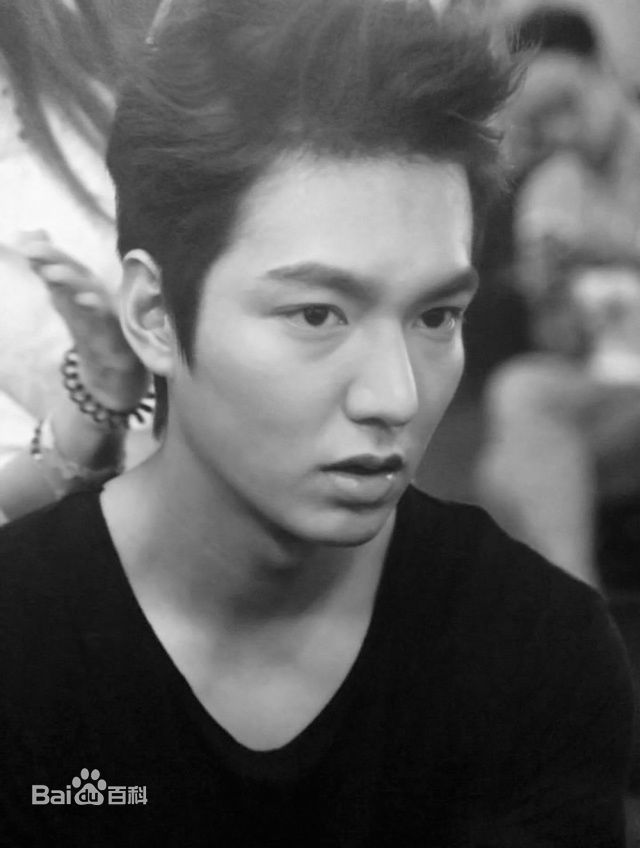 李敏镐（hào）(Lee MinHo、イ ミンホ)李敏镐壁纸壁纸