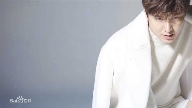 李敏镐（hào）(Lee MinHo、イ ミンホ)李敏镐壁纸壁纸