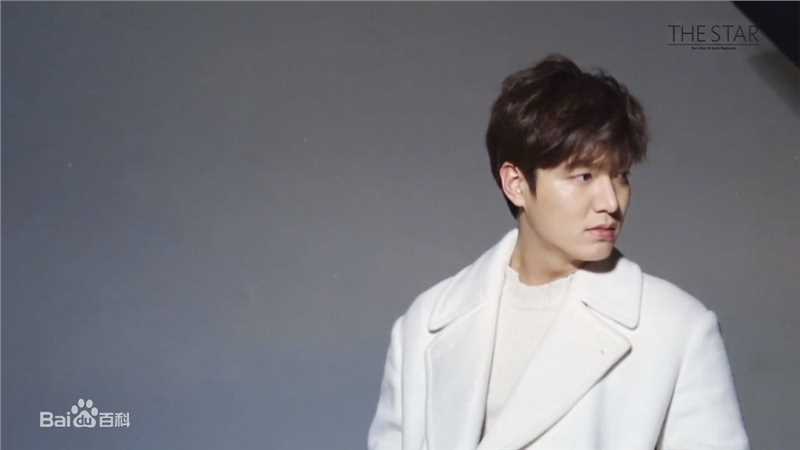 李敏镐（hào）(Lee MinHo、イ ミンホ)李敏镐壁纸壁纸