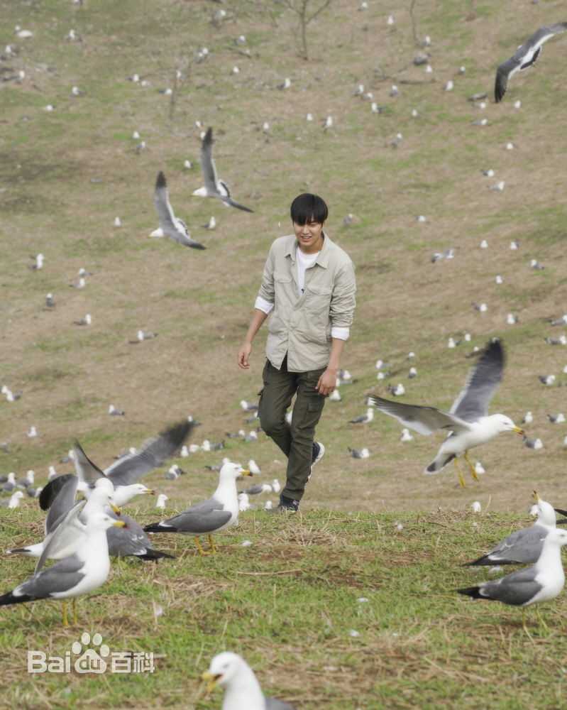 李敏镐（hào）(Lee MinHo、イ ミンホ)DMZ，THE WILD图册