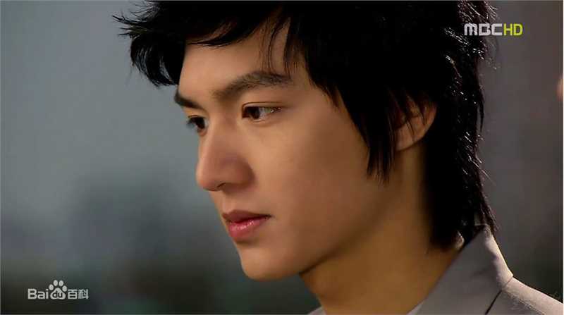 李敏镐（hào）(Lee MinHo、イ ミンホ)个人取向图册