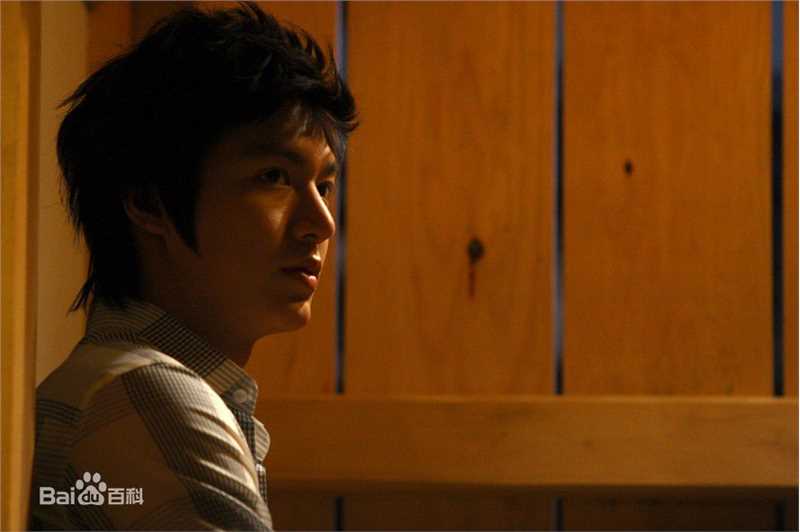 李敏镐（hào）(Lee MinHo、イ ミンホ)个人取向图册