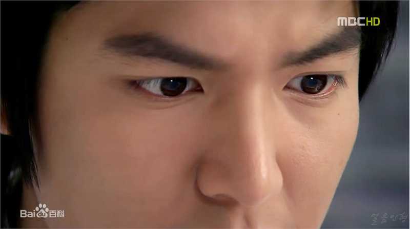 李敏镐（hào）(Lee MinHo、イ ミンホ)个人取向图册