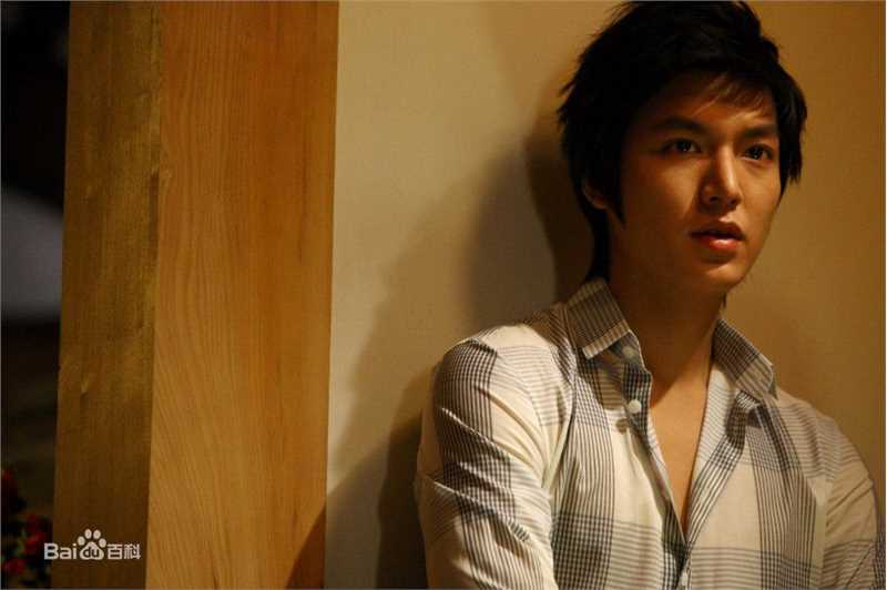 李敏镐（hào）(Lee MinHo、イ ミンホ)个人取向图册