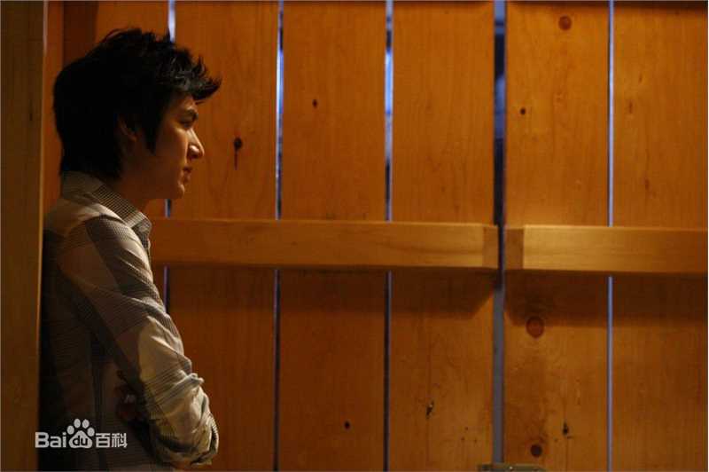 李敏镐（hào）(Lee MinHo、イ ミンホ)个人取向图册