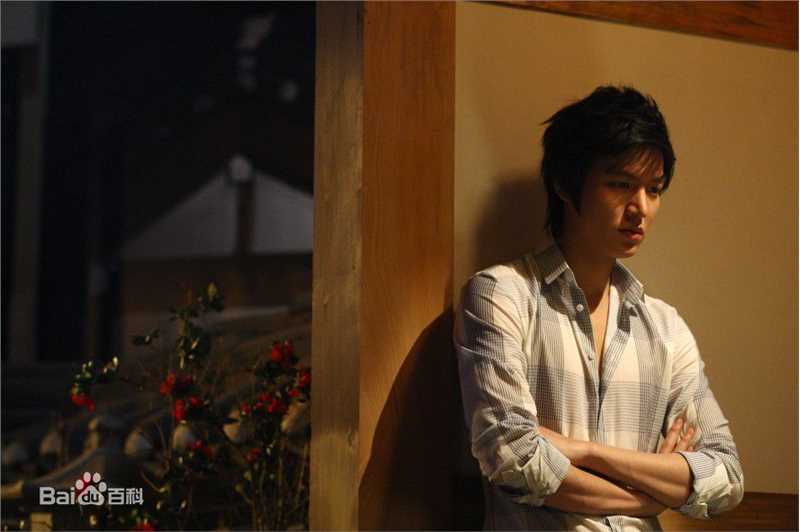 李敏镐（hào）(Lee MinHo、イ ミンホ)个人取向图册