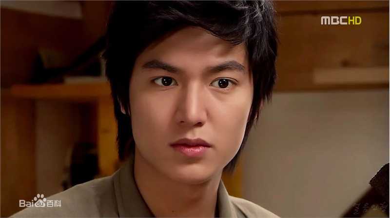 李敏镐（hào）(Lee MinHo、イ ミンホ)个人取向图册