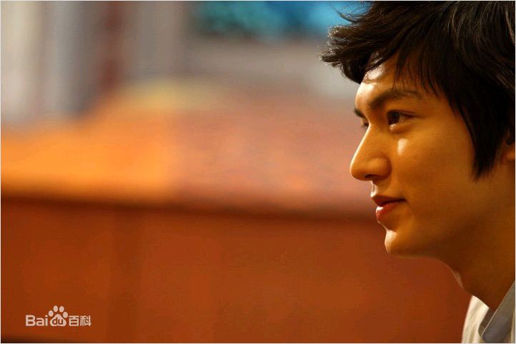 李敏镐（hào）(Lee MinHo、イ ミンホ)个人取向图册