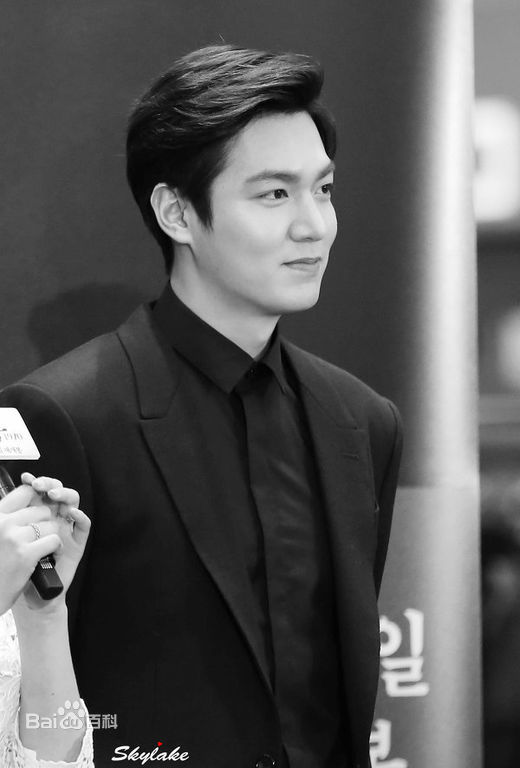 李敏镐（hào）(Lee MinHo、イ ミンホ)江南1970showcase图片图集