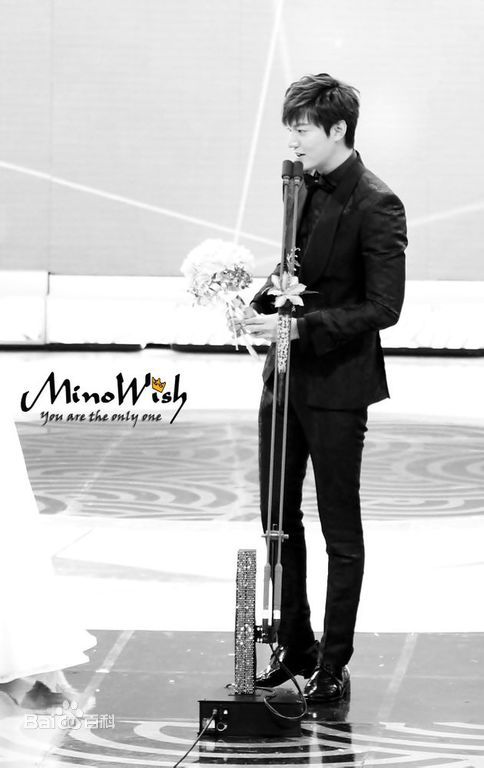 李敏镐（hào）(Lee MinHo、イ ミンホ)2013.12   S演技大赏性感图片图集