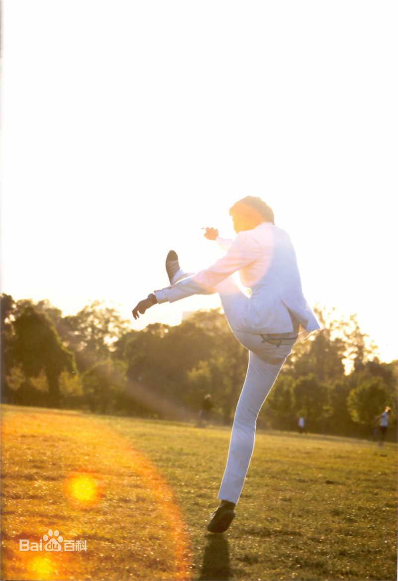 李敏镐（hào）(Lee MinHo、イ ミンホ)个人