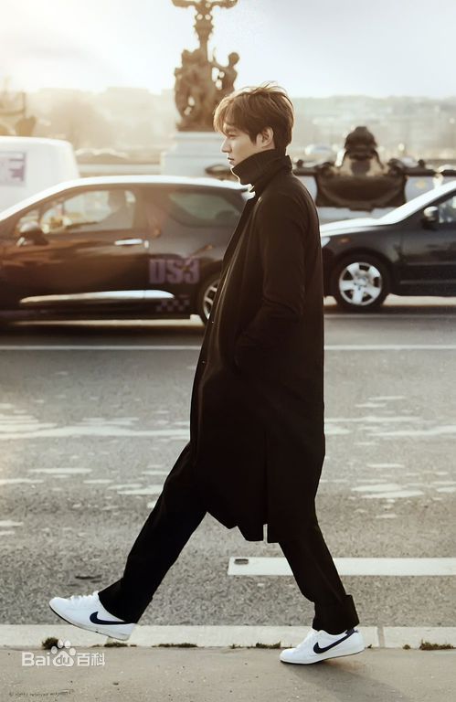 李敏镐（hào）(Lee MinHo、イ ミンホ)个人