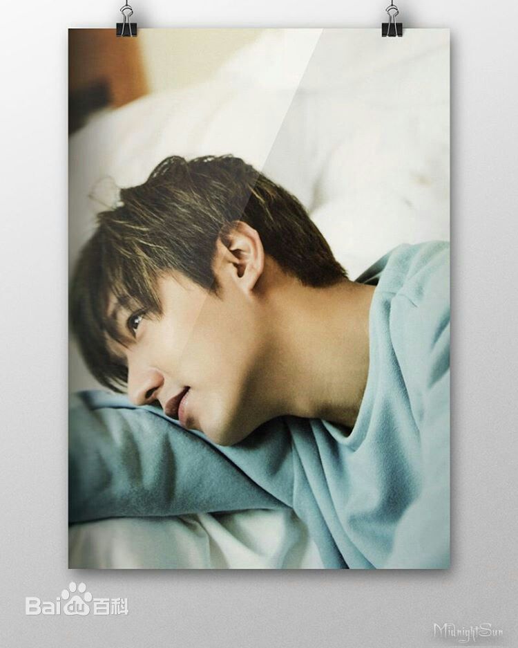 李敏镐（hào）(Lee MinHo、イ ミンホ)个人