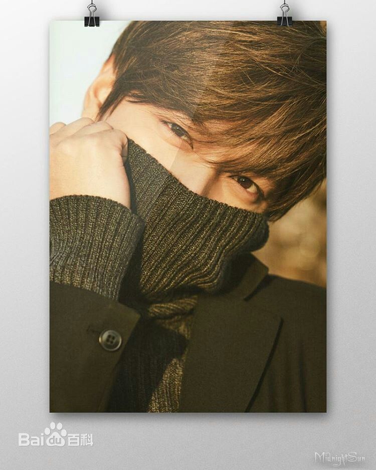 李敏镐（hào）(Lee MinHo、イ ミンホ)个人