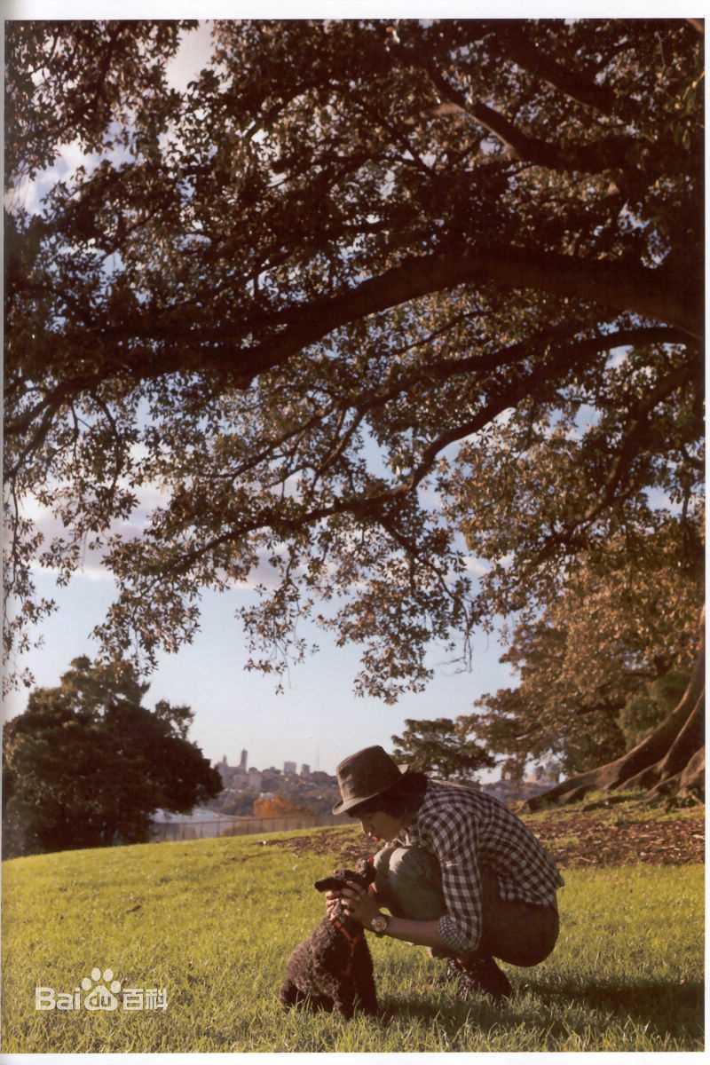 李敏镐（hào）(Lee MinHo、イ ミンホ)个人