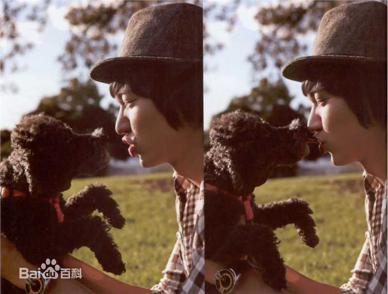 李敏镐（hào）(Lee MinHo、イ ミンホ)个人