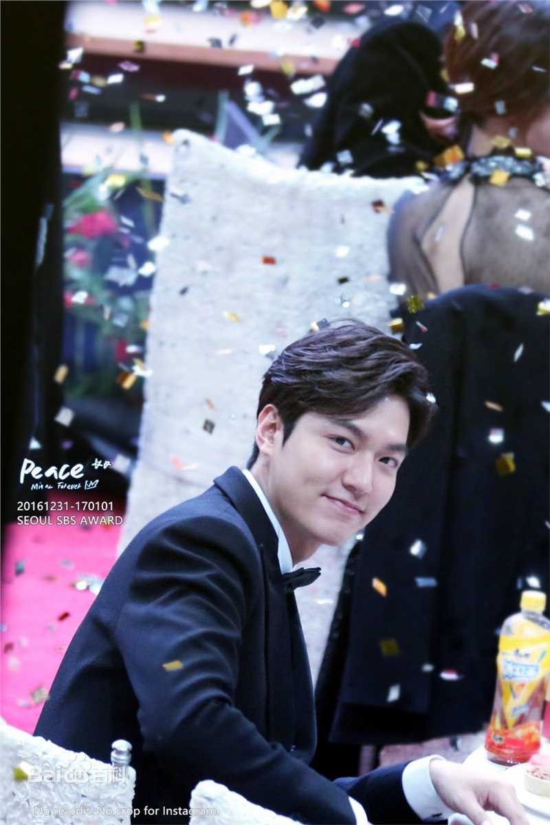 李敏镐（hào）(Lee MinHo、イ ミンホ)2016.12 S演技大赏壁纸壁纸