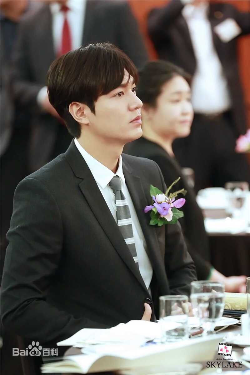 李敏镐（hào）(Lee MinHo、イ ミンホ)荣誉表彰壁纸壁纸