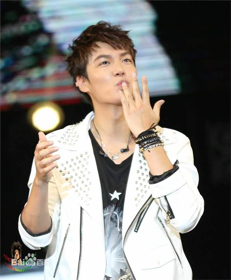 李敏镐（hào）(Lee MinHo、イ ミンホ)2013My Everything 世界巡演图片图集