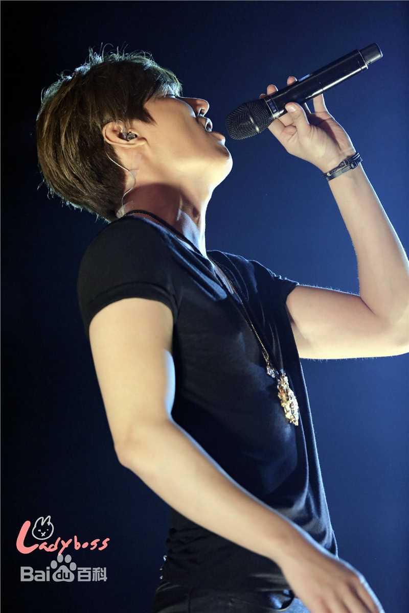 李敏镐（hào）(Lee MinHo、イ ミンホ)2014~2015 世界巡回演唱会生活照相册