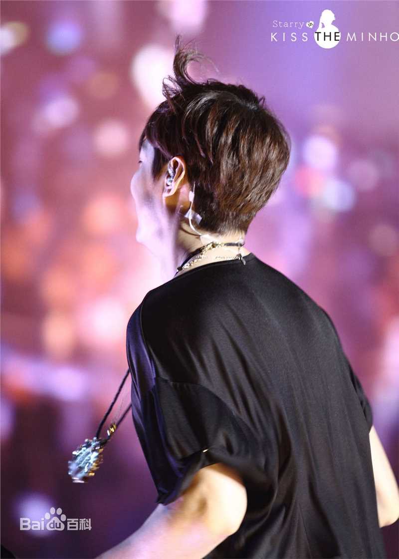 李敏镐（hào）(Lee MinHo、イ ミンホ)2014~2015 世界巡回演唱会生活照相册