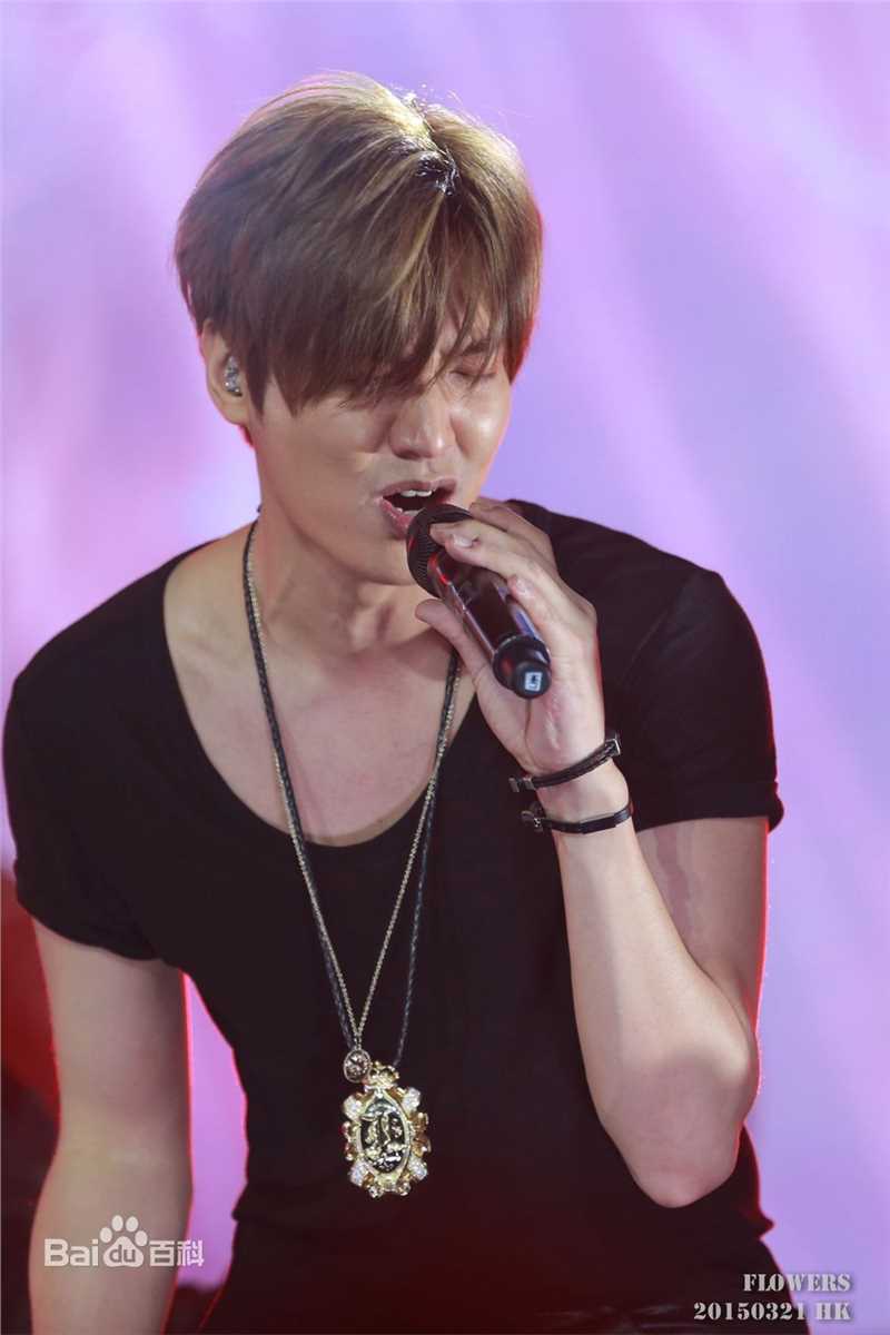 李敏镐（hào）(Lee MinHo、イ ミンホ)2014~2015 世界巡回演唱会生活照相册