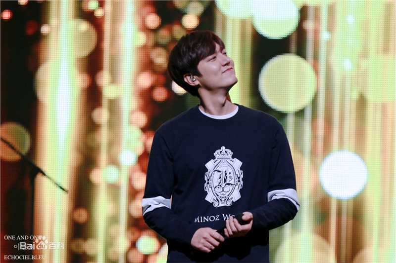 李敏镐（hào）(Lee MinHo、イ ミンホ)2016 Minoz World 谈话演唱会壁纸壁纸