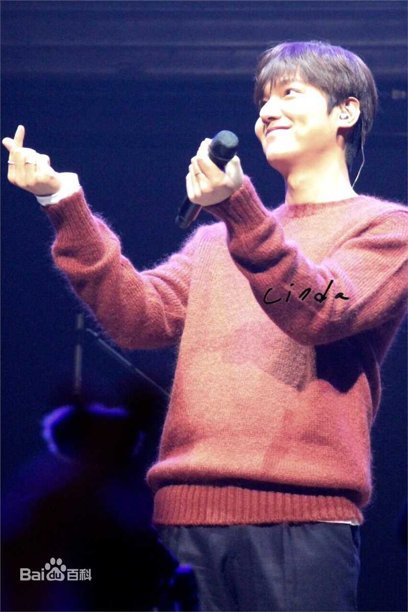 李敏镐（hào）(Lee MinHo、イ ミンホ)2016 Minoz World 谈话演唱会壁纸壁纸