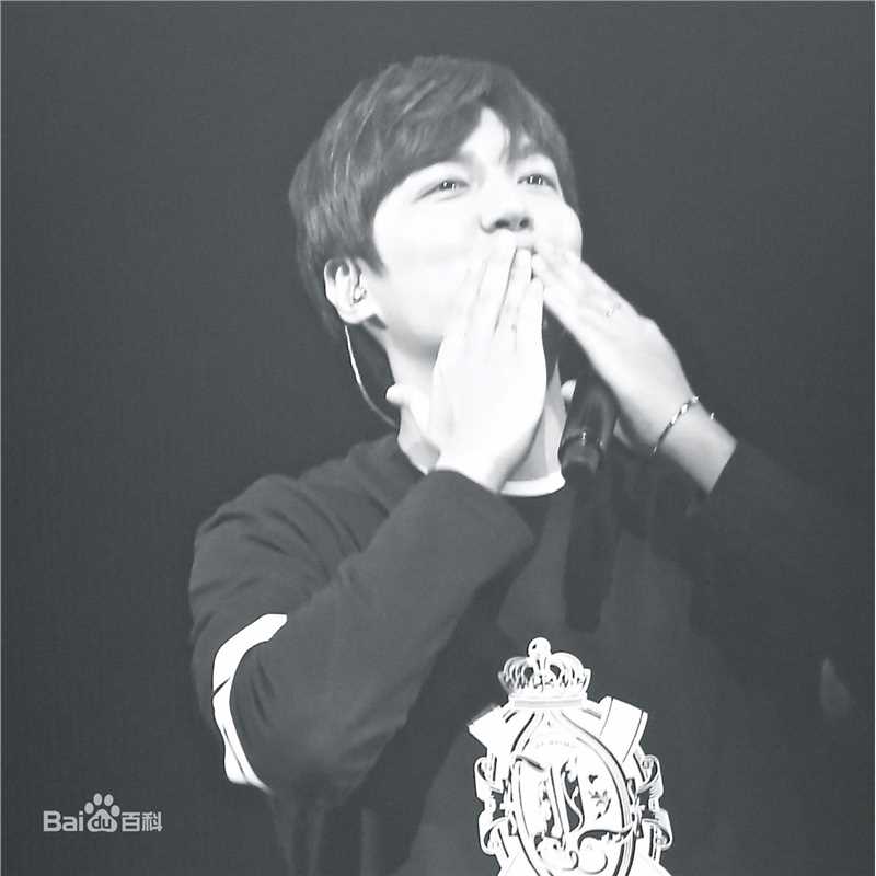 李敏镐（hào）(Lee MinHo、イ ミンホ)2016 Minoz World 谈话演唱会壁纸壁纸