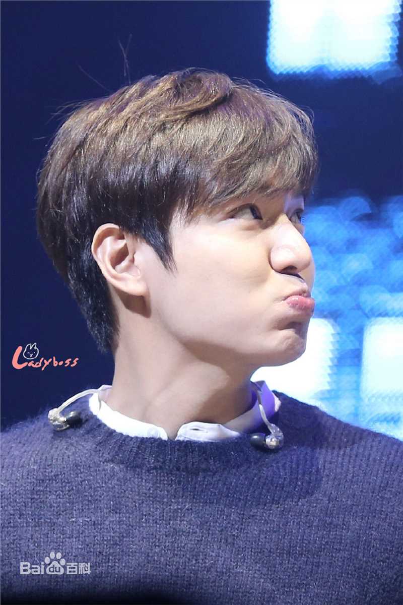 李敏镐（hào）(Lee MinHo、イ ミンホ)2016 Minoz World 谈话演唱会壁纸壁纸