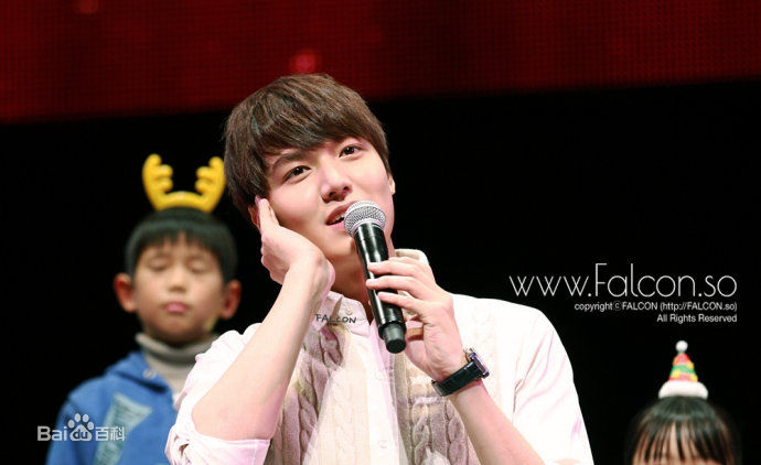 李敏镐（hào）(Lee MinHo、イ ミンホ)其他show concert壁纸壁纸