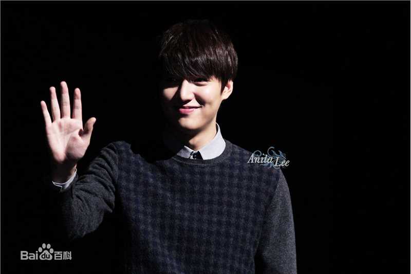 李敏镐（hào）(Lee MinHo、イ ミンホ)其他show concert壁纸壁纸