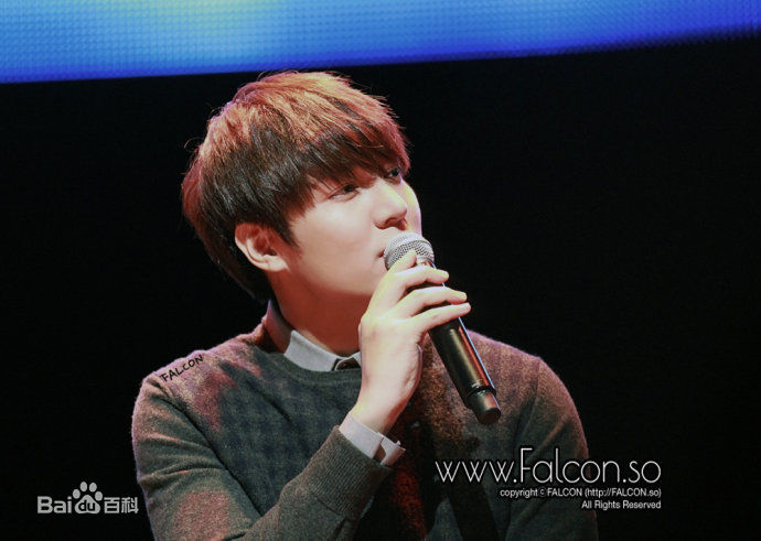 李敏镐（hào）(Lee MinHo、イ ミンホ)其他show concert壁纸壁纸