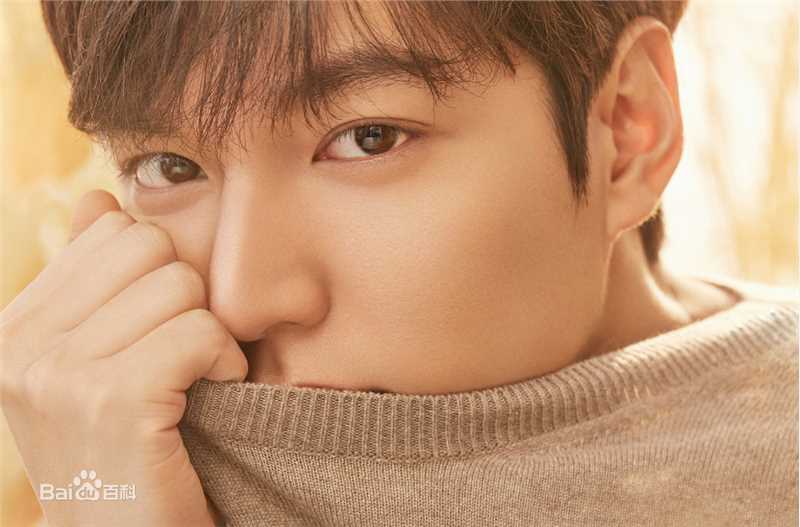 李敏镐（hào）(Lee MinHo、イ ミンホ)概述图册性感图片图集