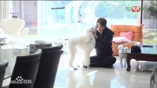 郑智薰(英文名:Rain 韩文名：  罗马拼音：Jung Ji Hoon)Rain Effect 真人秀图册